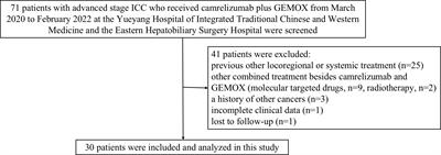 Camrelizumab plus gemcitabine and oxaliplatin for the treatment of advanced intrahepatic cholangiocarcinoma: a bi-centric observational retrospective study